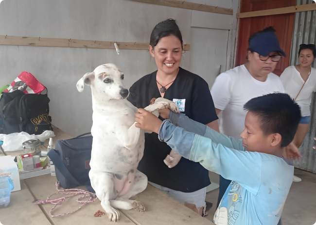 Veterinaria atendiendo perro