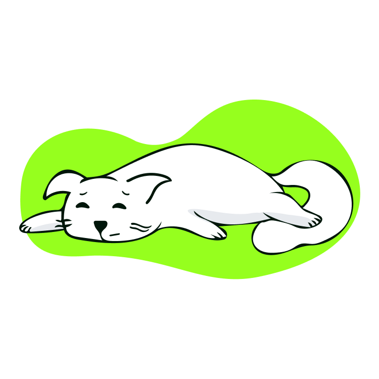 Mascota ilustración